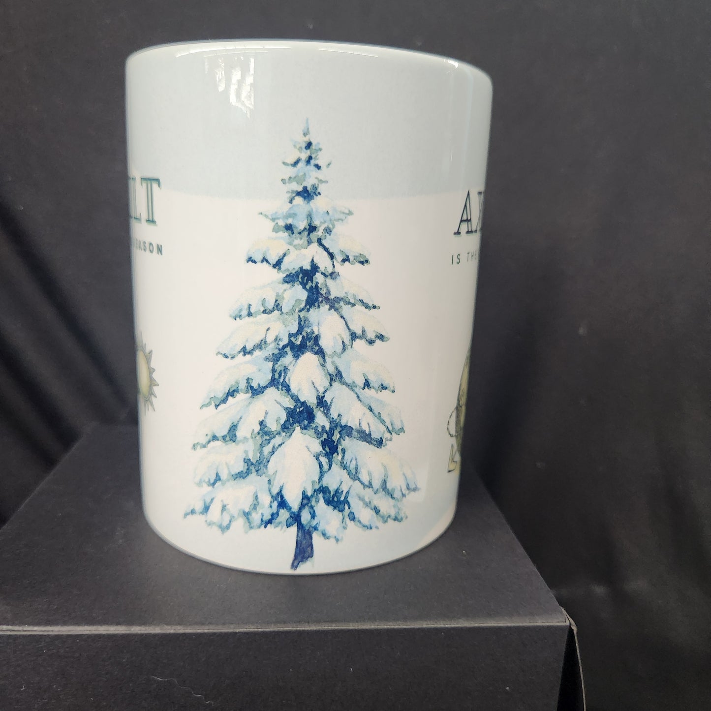 Axial Tilt is the Reason for the Season mug